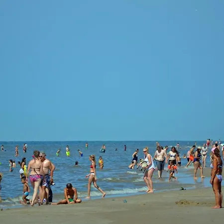 Zuid Aan Zee Egmond aan Zee