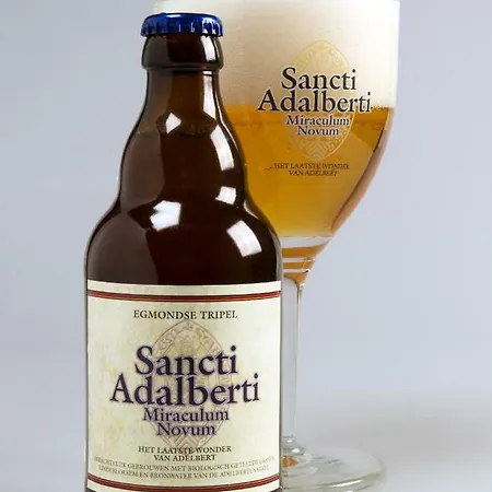 Appartamento Zuid Aan Zee